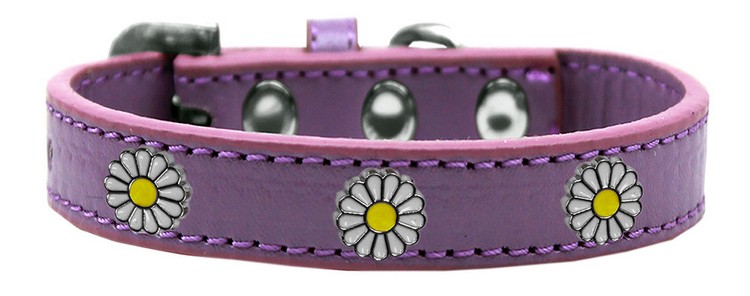 White Daisy Widget Dog Collar Lavender Size 10